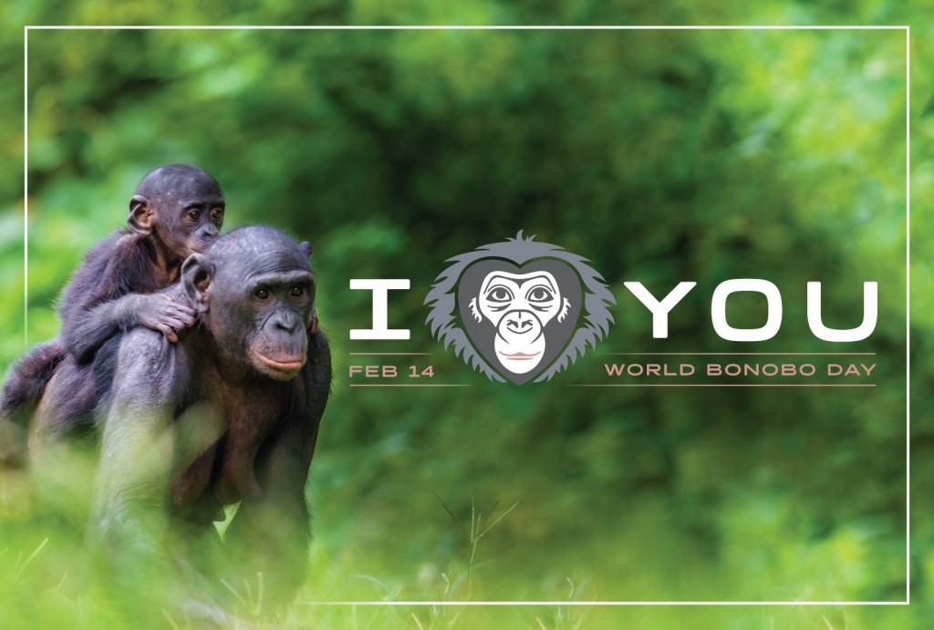 I Bonobo You
